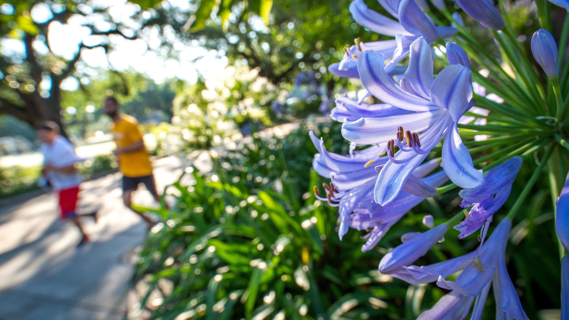 HR landing page: people running, flowers in forefront.